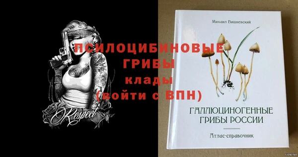 гашик Алексин