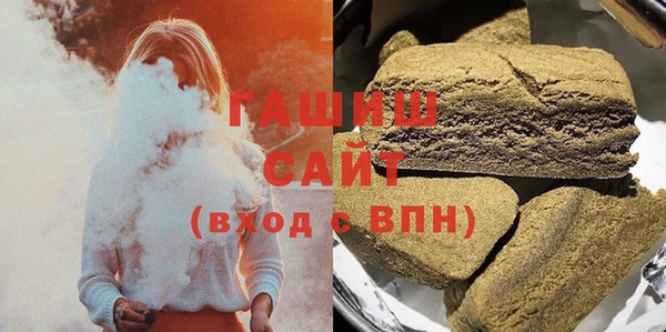 гашик Алексин