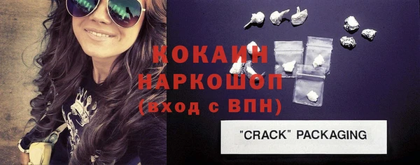 гашик Алексин