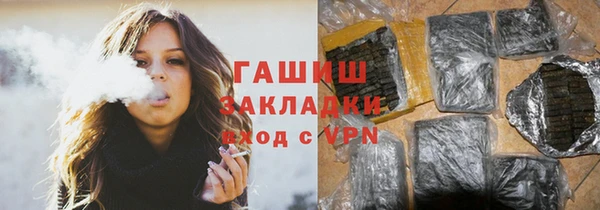 гашик Алексин